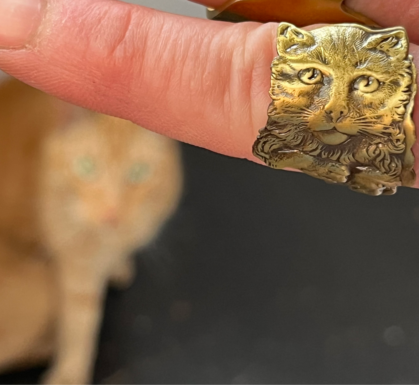 Vintage Brass Cat Face Spoon Ring